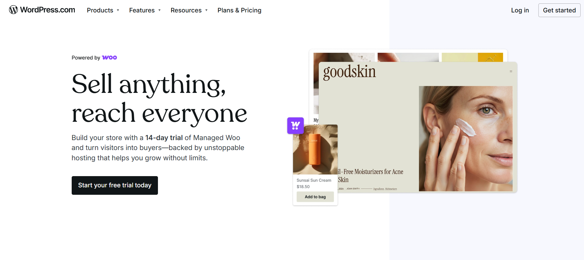 What is WooCommerce?